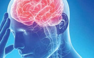 Τι είναι τα μιμίδια;