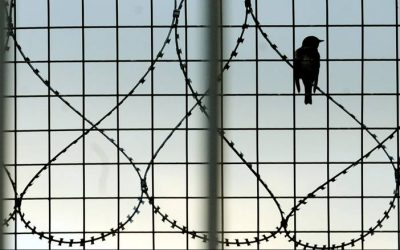 Αυτοκτονίες σε Καταστήματα Κράτησης & Αστυνομικά Κρατητήρια