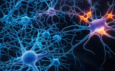 ΚΛΙΜΑΚΑ | ΕΠΙΓΕΝΕΤΙΚΗ ΕΥΑΙΣΘΗΣΙΑ ΚΑΙ ΨΥΧΙΚΗ ΕΥΑΛΩΤΟΤΗΤΑ: Η ΑΛΛΗΛΕΠΙΔΡΑΣΗ ΓΕΝΕΤΙΚΗΣ ΚΑΙ ΠΕΡΙΒΑΛΛΟΝΤΟΣ ΣΕ ΚΡΙΣΙΜΕΣ ΑΝΑΠΤΥΞΙΑΚΕΣ ΠΕΡΙΟΔΟΥΣ