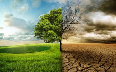 ΚΛΙΜΑΤΙΚΗ ΑΛΛΑΓΗ ΚΑΙ ΑΥΤΟΚΤΟΝΙΚΟΤΗΤΑ: ΜΙΑ ΑΝΑΔΥΟΜΕΝΗ ΠΑΡΑΜΕΤΡΟΣ ΣΤΟ ΠΟΛΥΠΑΡΑΓΟΝΤΙΚΟ ΖΗΤΗΜΑ ΤΗΣ ΑΥΤΟΚΤΟΝΙΑΣ