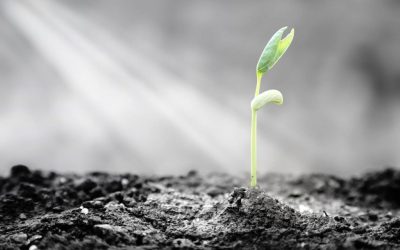 ΚΛΙΜΑΚΑ_Με αφορμή μια αυτοκτονία που επηρέασε μια τοπική κοινότητα