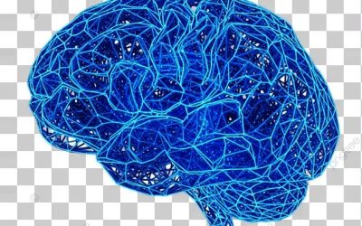 ΚΛΙΜΑΚΑ: Η ΒΙΟΛΟΓΙΚΗ ΔΙΑΣΤΑΣΗ ΤΗΣ ΑΥΤΟΚΤΟΝΙΑΣ ΕΠΑΝΑΠΡΟΣΔΙΟΡΙΖΟΝΤΑΣ ΤΟ ΠΛΑΙΣΙΟ ΚΑΤΑΝΟΗΣΗΣ