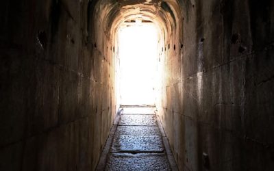 ΚΛΙΜΑΚΑ – ΑΝΑΛΥΣΗ ΤΩΝ ΚΛΗΣΕΩΝ ΤΗΣ ΓΡΑΜΜΗΣ 1018: ΤΙ ΠΡΟΗΓΕΙΤΑΙ ΤΗΣ ΑΥΤΟΚΤΟΝΙΚΗΣ ΚΡΙΣΗΣ ΚΑΙ ΤΟ ΠΡΟΦΙΛ ΤΩΝ ΚΑΛΟΥΝΤΩΝ